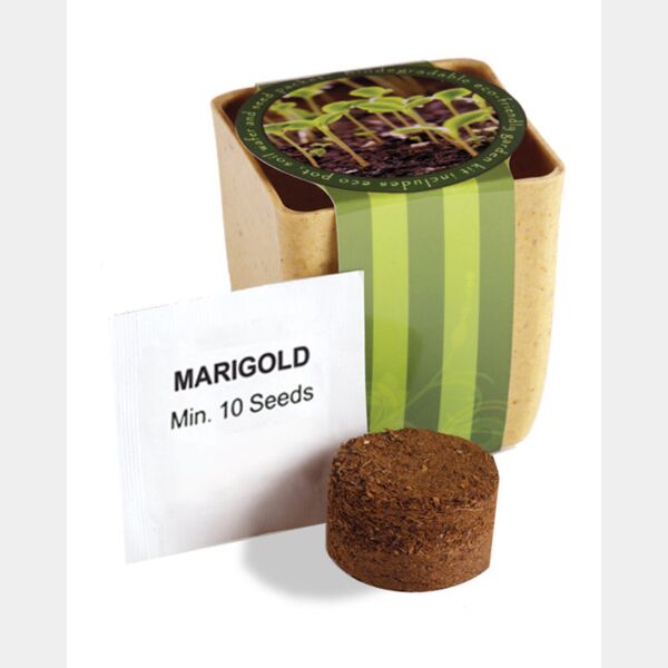 Flower Pot Set With Marigold Seeds Thumbnail