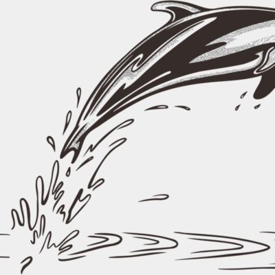 Dolphin - 25 Thumbnail